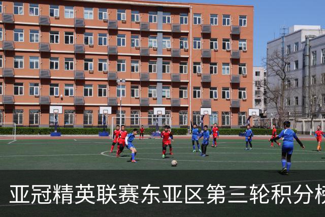亚冠精英联赛东亚区第三轮积分榜：国安不败位列第五，海港第八