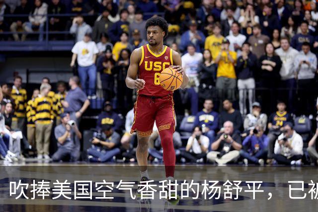 吹捧美国空气香甜的杨舒平，已被美国驱逐出境，回国后处境悲凉