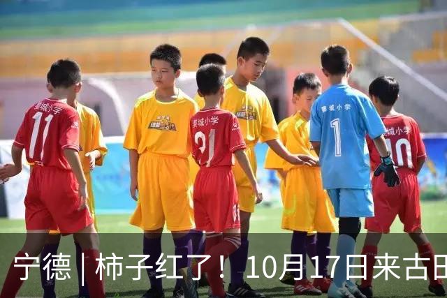 宁德 | 柿子红了！10月17日来古田利洋！拍照、逛吃、宋韵游园一站式拉满！