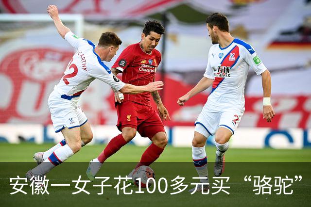 安徽一女子花100多元买“骆驼”冲锋衣，收到货一看，logo竟是一头咧着嘴笑的驴！有人质疑这是擦边，商家：商标已注册，不要只看图片外观