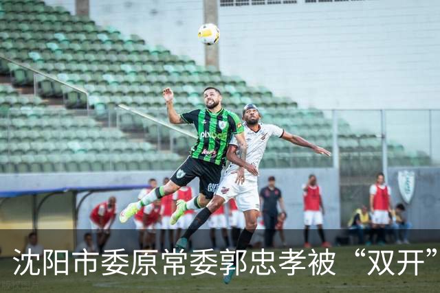 沈阳市委原常委郭忠孝被“双开”：搞“形象工程”、干预执纪执法，8个月仕途急转直下
