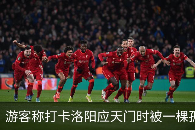 游客称打卡洛阳应天门时被一棵孤树遮挡，网友称“树比门早”，当地：树是百年古树，修建应天门时专门保留