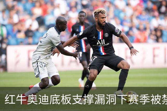红牛奥迪底板支撑漏洞下赛季被禁