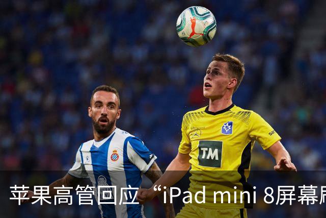 苹果高管回应“iPad mini 8屏幕刷新率为何依然为60Hz”