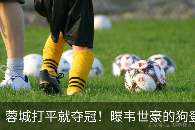 蓉城打平就夺冠！曝韦世豪的狗登上看台TIFO：见识见识你的本事