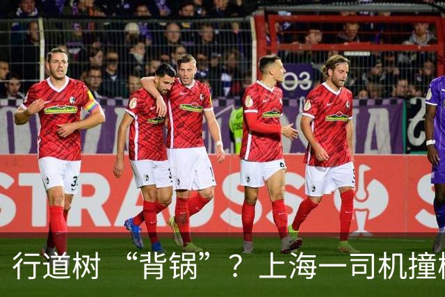 行道树 “背锅”？上海一司机撞树后主张树木全责，结果来了