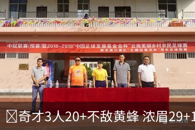 🏀奇才3人20+不敌黄蜂 浓眉29+10 特雷-杨22+6+10 米勒新高39+6